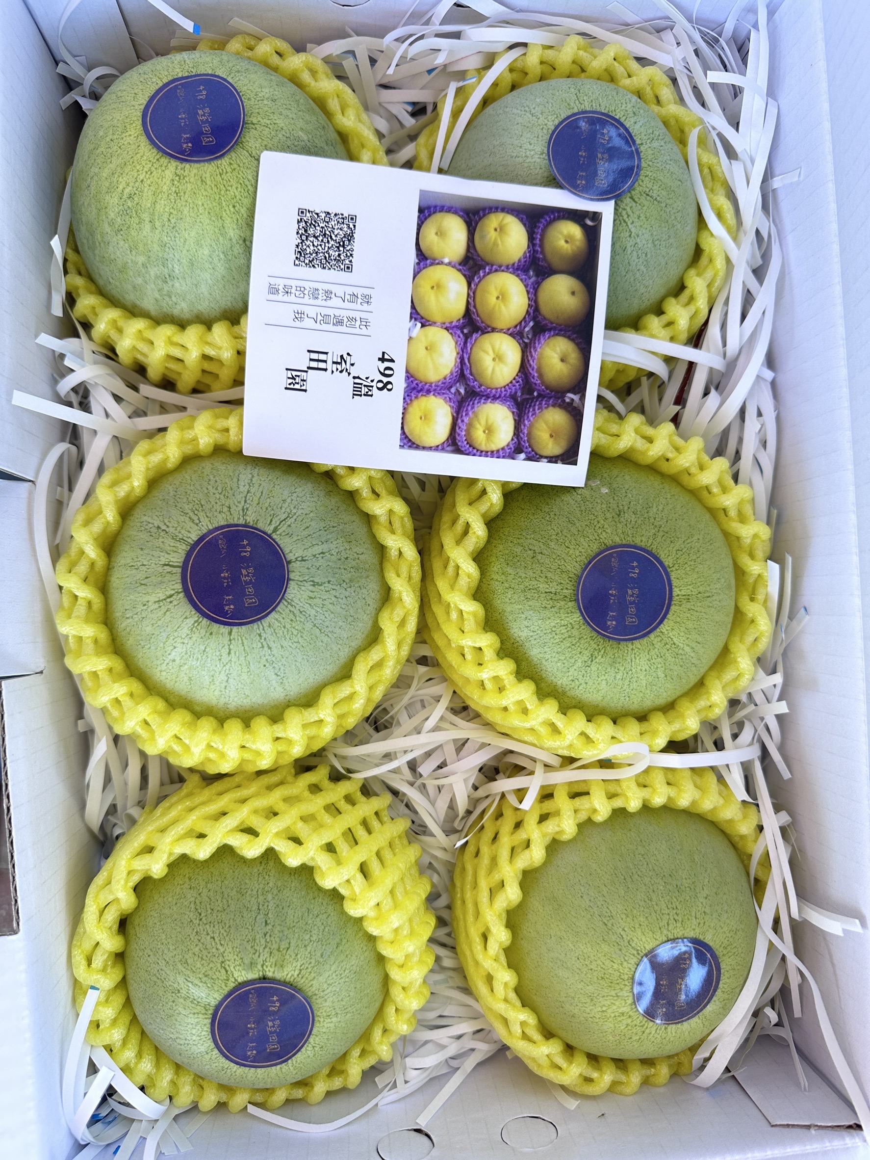 498溫室田園:圖片 4