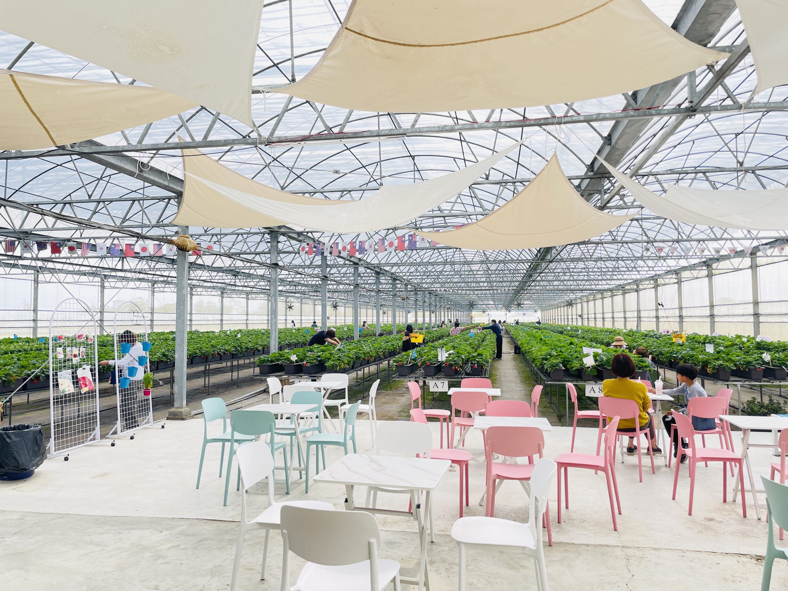 沁霖觀光農園:圖片 2