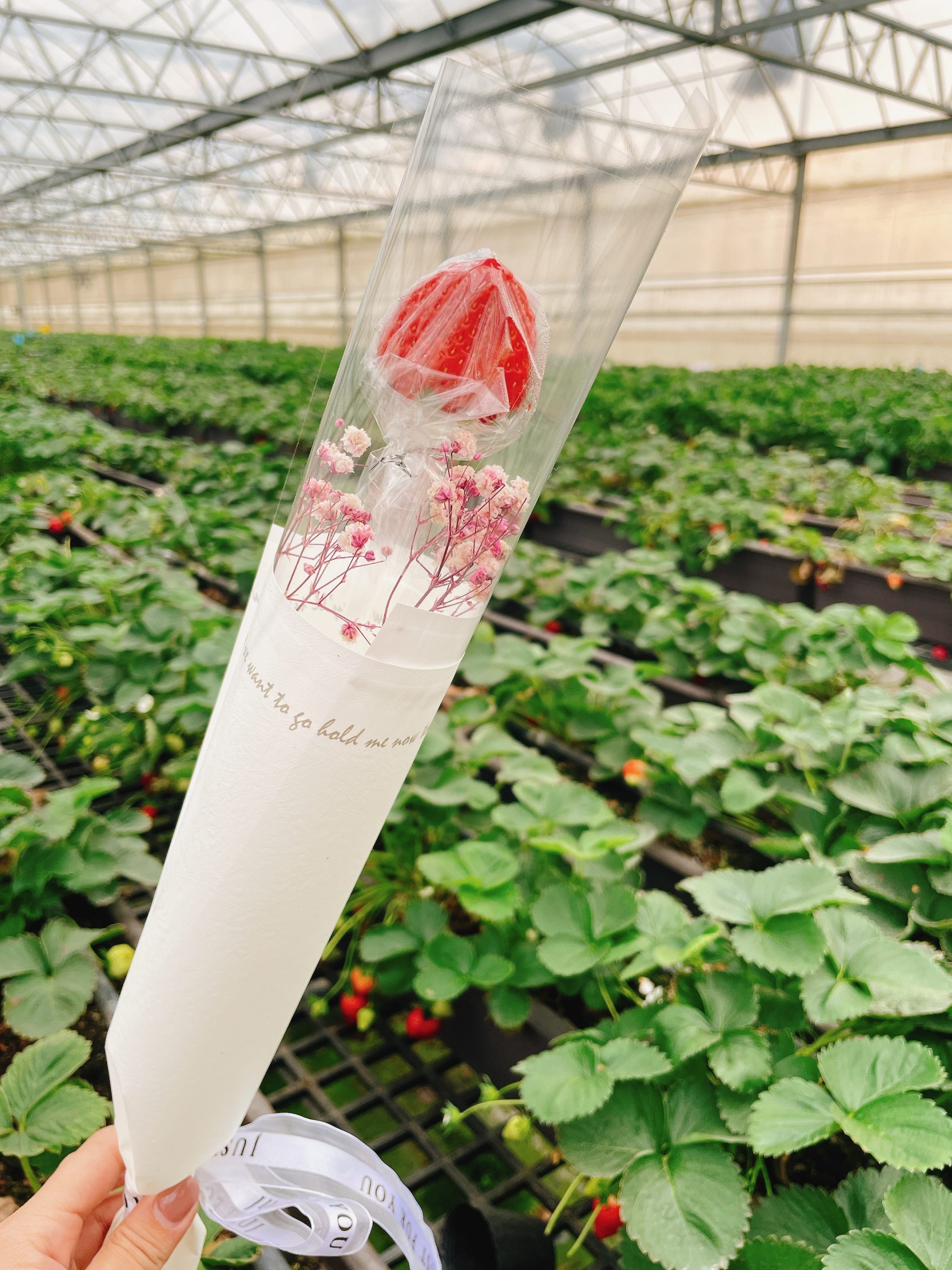 沁霖觀光農園:圖片 7