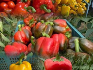 Ang Gong Gong 甜椒園