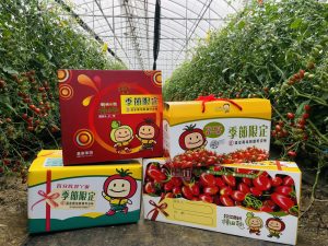 我們一家種田趣