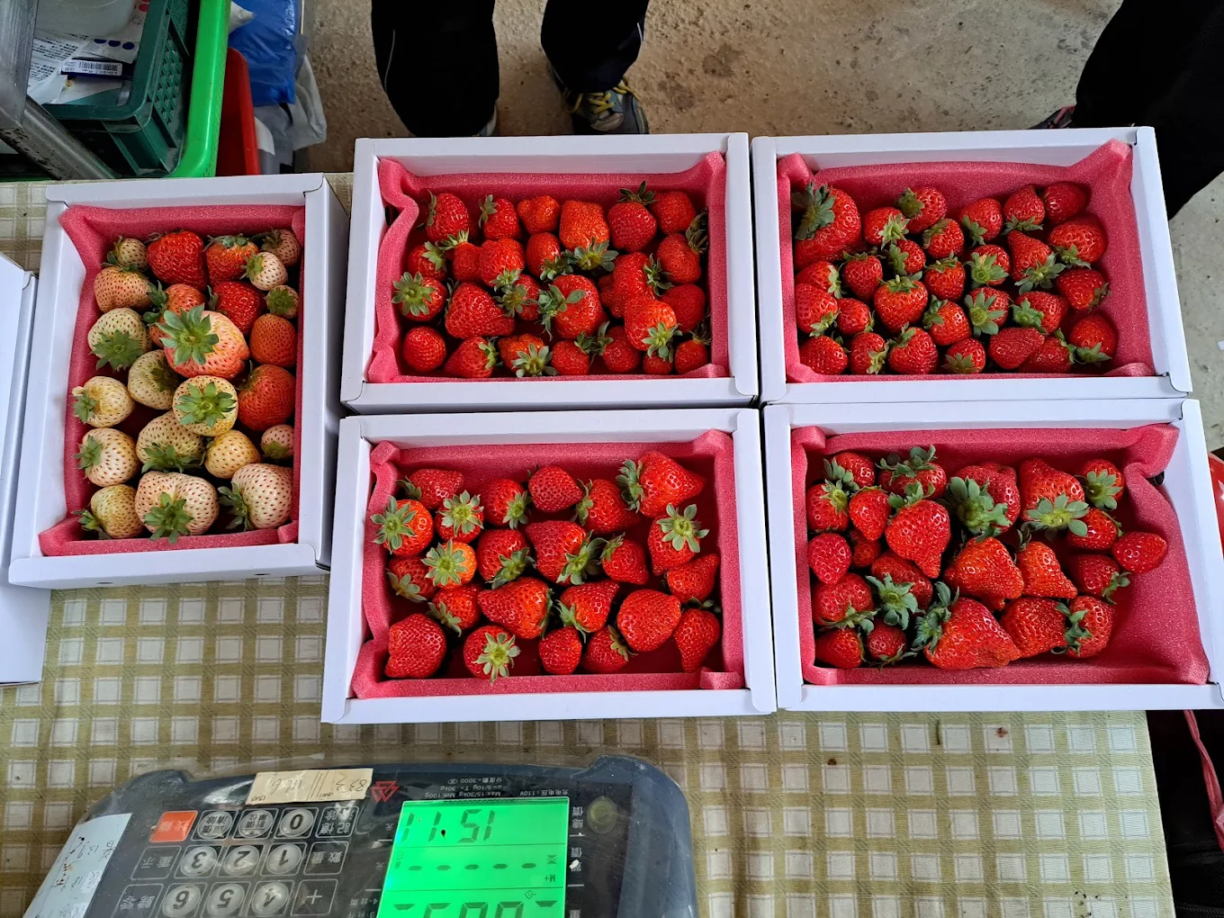 陳心橙意農家:圖片 5