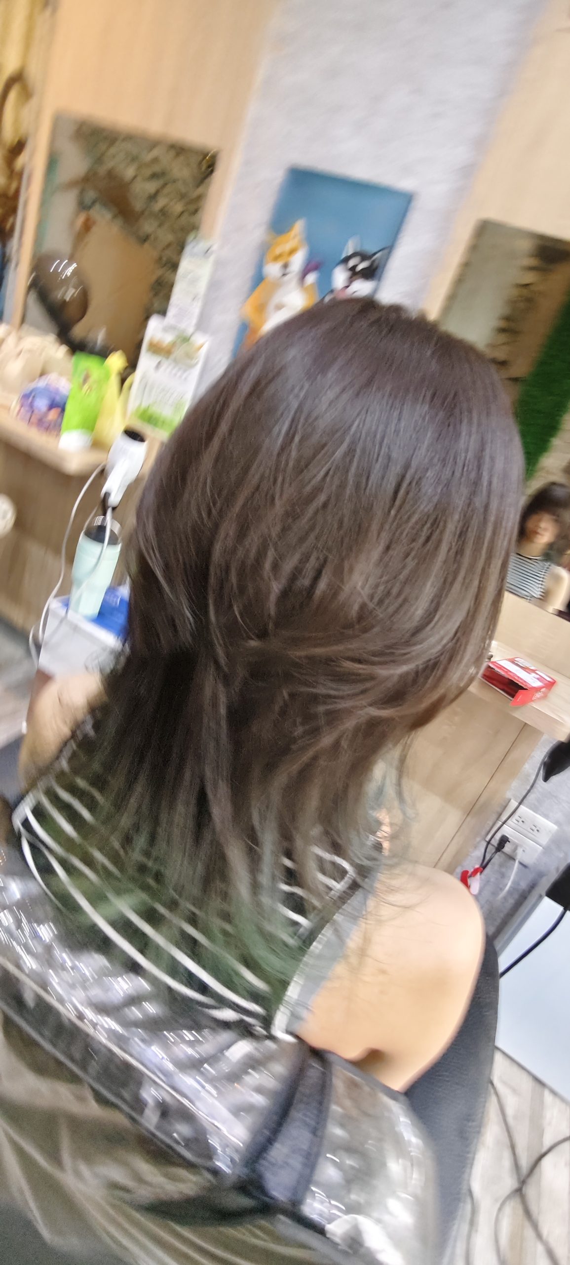 水漾髮妍:圖片 2